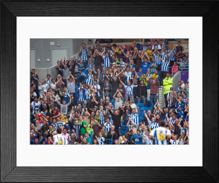 Framed Print : Brighton & Hove Albion vs. Burnley: Home Game - August 24, 2013 Framed Print : Brighton & Hove Albion vs. Burnley: Home Game - August 24, 2013