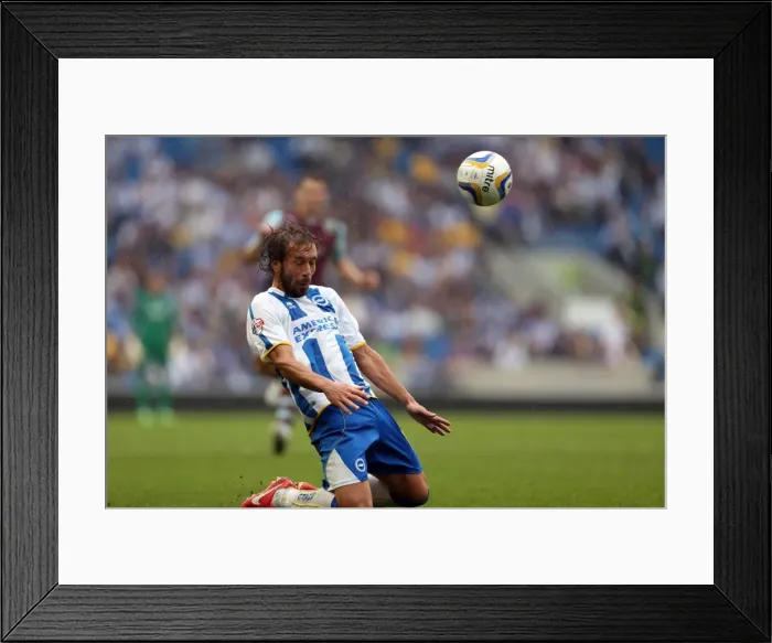 Framed Print : Brighton & Hove Albion vs. Burnley: Home Game - August 24, 2013 Framed Print : Brighton & Hove Albion vs. Burnley: Home Game - August 24, 2013