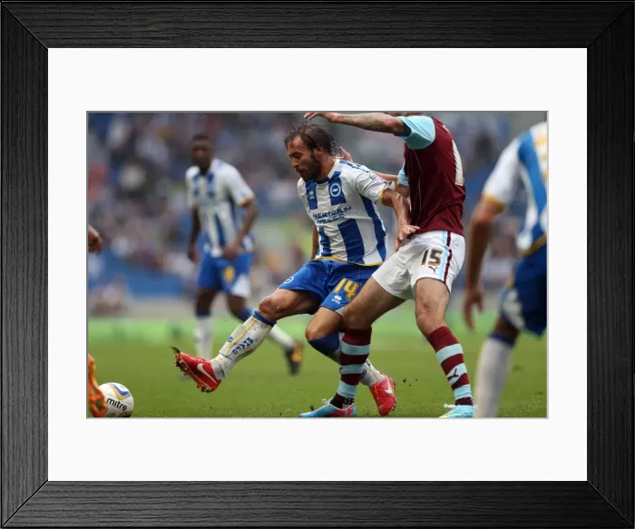 Framed Print : Brighton & Hove Albion vs. Burnley: 2013-14 Season Home Game Highlights - 24-08-2013 Framed Print : Brighton & Hove Albion vs. Burnley: 2013-14 Season Home Game Highlights - 24-08-2013