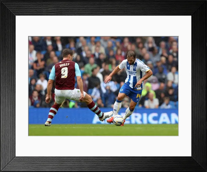 Framed Print : Brighton & Hove Albion vs. Burnley: Home Game - August 24, 2013 Framed Print : Brighton & Hove Albion vs. Burnley: Home Game - August 24, 2013
