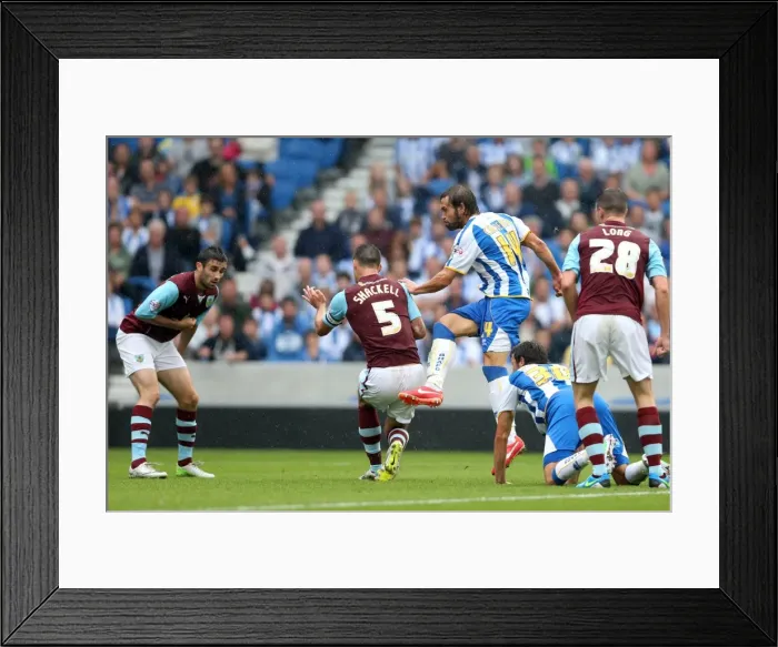 Framed Print : Brighton & Hove Albion vs. Burnley: Home Game - August 24, 2013 Framed Print : Brighton & Hove Albion vs. Burnley: Home Game - August 24, 2013
