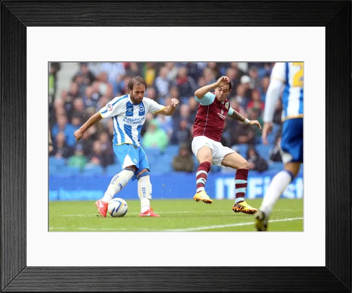 Framed Print : Brighton & Hove Albion vs. Burnley: Home Game - August 24, 2013 Framed Print : Brighton & Hove Albion vs. Burnley: Home Game - August 24, 2013