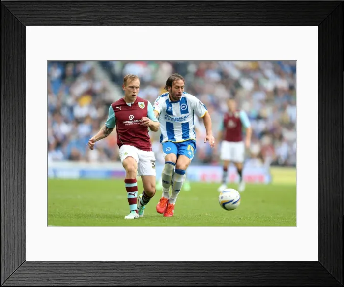 Framed Print : Brighton & Hove Albion vs. Burnley (2013-14) - Home Game Highlights Framed Print : Brighton & Hove Albion vs. Burnley (2013-14) - Home Game Highlights