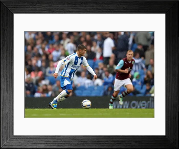 Framed Print : Brighton & Hove Albion vs. Burnley: Home Game - August 24, 2013 Framed Print : Brighton & Hove Albion vs. Burnley: Home Game - August 24, 2013