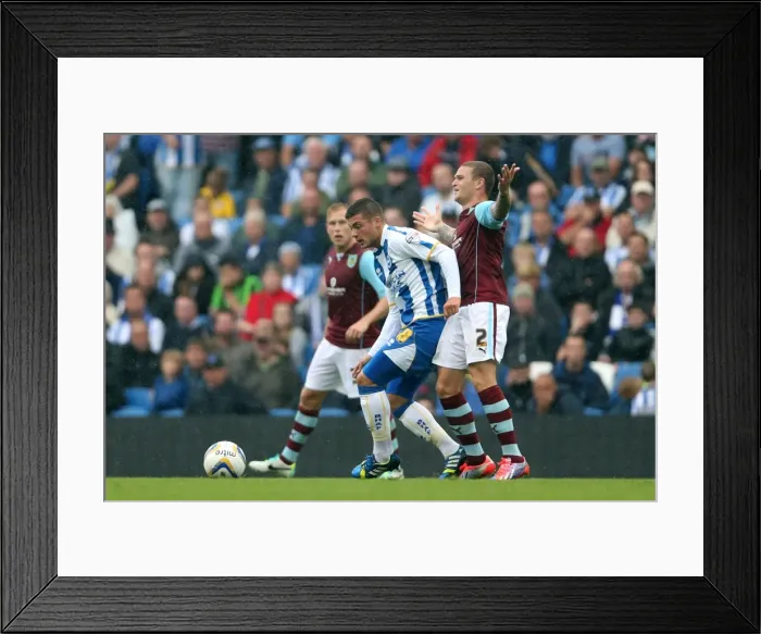 Framed Print : Brighton & Hove Albion vs. Burnley: Home Game - August 24, 2013 Framed Print : Brighton & Hove Albion vs. Burnley: Home Game - August 24, 2013