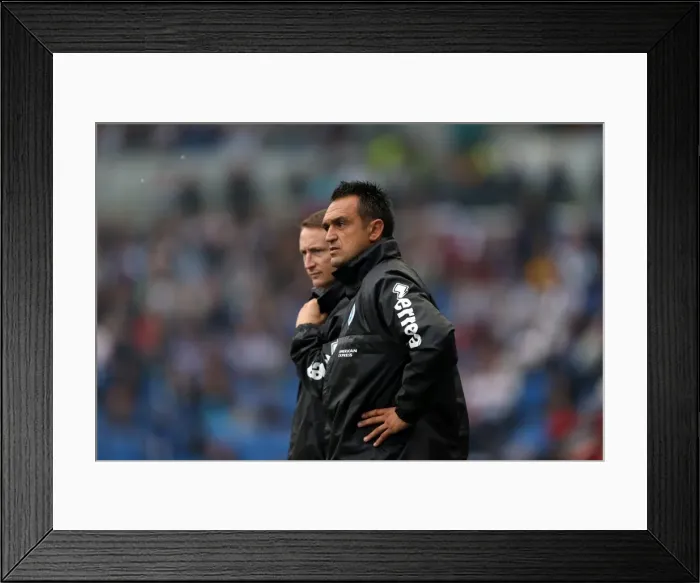 Framed Print : Brighton & Hove Albion vs. Burnley: Home Game - August 24, 2013 Framed Print : Brighton & Hove Albion vs. Burnley: Home Game - August 24, 2013