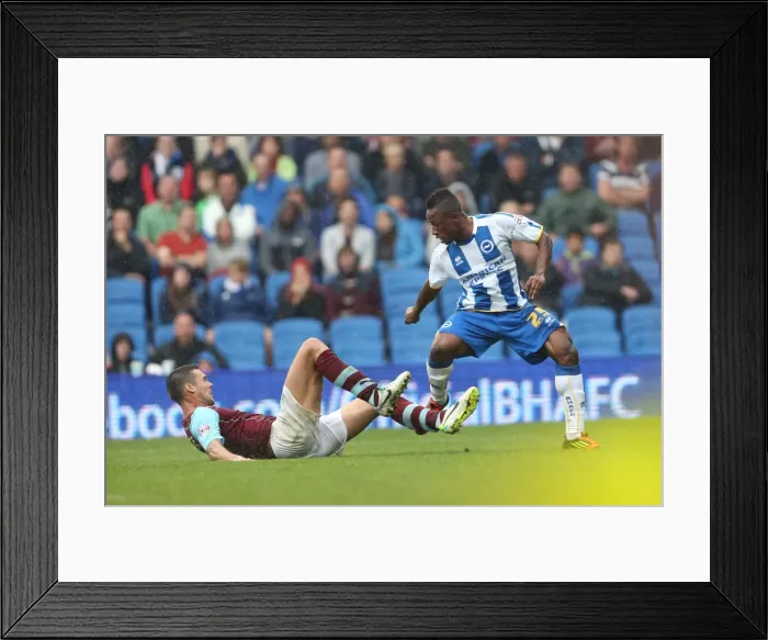 Framed Print : Brighton & Hove Albion vs. Burnley: Home Game - August 24, 2013 Framed Print : Brighton & Hove Albion vs. Burnley: Home Game - August 24, 2013