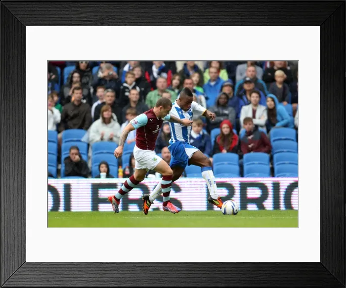 Framed Print : Brighton & Hove Albion vs. Burnley: Home Game - August 24, 2013 Framed Print : Brighton & Hove Albion vs. Burnley: Home Game - August 24, 2013
