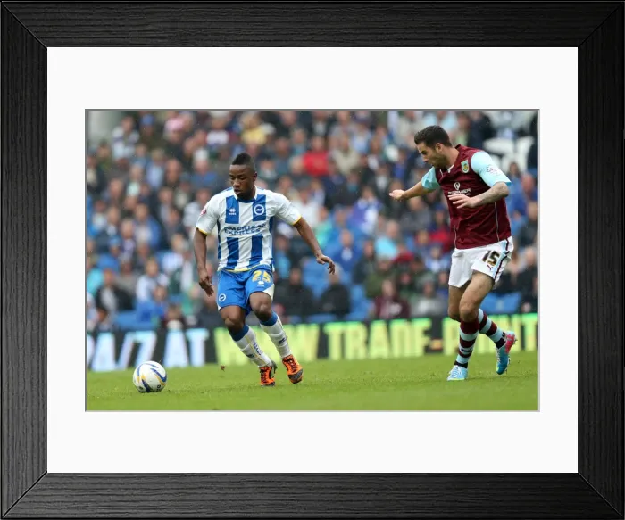 Framed Print : Brighton & Hove Albion vs. Burnley: Home Game - August 24, 2013 Framed Print : Brighton & Hove Albion vs. Burnley: Home Game - August 24, 2013