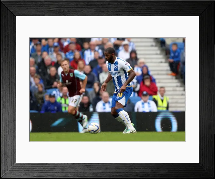 Framed Print : Brighton & Hove Albion vs. Burnley: Home Game - August 24, 2013 Framed Print : Brighton & Hove Albion vs. Burnley: Home Game - August 24, 2013