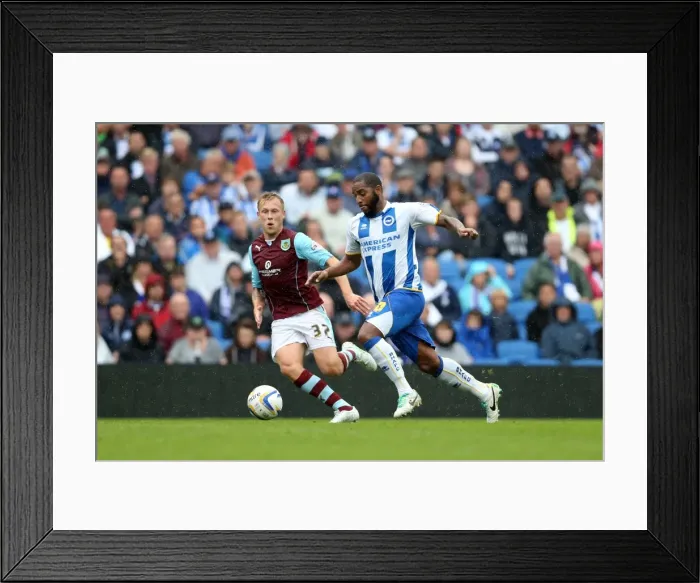 Framed Print : Brighton & Hove Albion vs. Burnley: 2013-14 Season Home Game Highlights - 24-08-2013 Framed Print : Brighton & Hove Albion vs. Burnley: 2013-14 Season Home Game Highlights - 24-08-2013