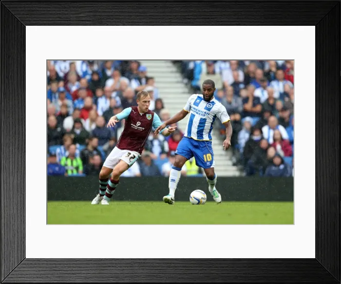 Framed Print : Brighton & Hove Albion vs. Burnley: Home Game - August 24, 2013 Framed Print : Brighton & Hove Albion vs. Burnley: Home Game - August 24, 2013