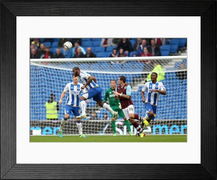 Framed Print : Brighton & Hove Albion vs. Burnley: 2013-14 Home Game Highlights Framed Print : Brighton & Hove Albion vs. Burnley: 2013-14 Home Game Highlights