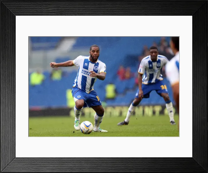 Framed Print : Brighton & Hove Albion vs. Burnley: Home Game - August 24, 2013 Framed Print : Brighton & Hove Albion vs. Burnley: Home Game - August 24, 2013