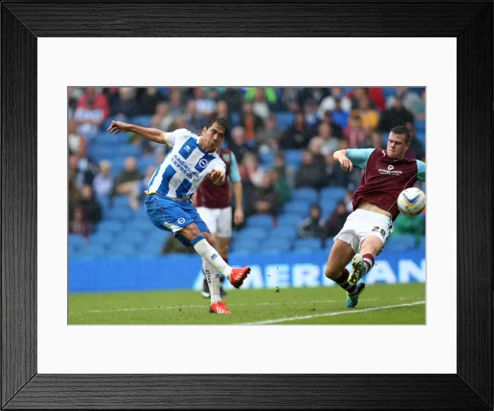 Framed Print : Brighton & Hove Albion vs. Burnley: Home Game - August 24, 2013 Framed Print : Brighton & Hove Albion vs. Burnley: Home Game - August 24, 2013