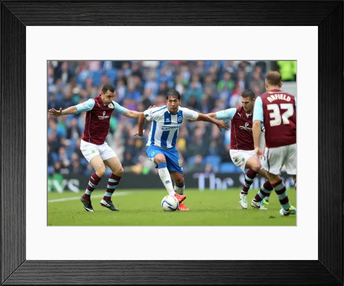 Framed Print : Brighton & Hove Albion vs. Burnley: Home Game - August 24, 2013 Framed Print : Brighton & Hove Albion vs. Burnley: Home Game - August 24, 2013