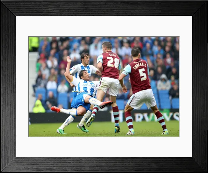 Framed Print : Brighton & Hove Albion vs. Burnley: Home Game - August 24, 2013 Framed Print : Brighton & Hove Albion vs. Burnley: Home Game - August 24, 2013
