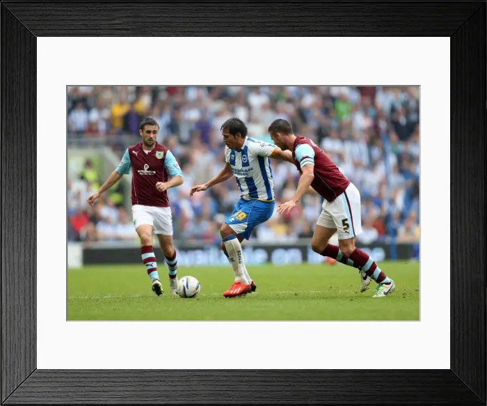 Framed Print : Brighton & Hove Albion vs. Burnley: Home Game - August 24, 2013 Framed Print : Brighton & Hove Albion vs. Burnley: Home Game - August 24, 2013