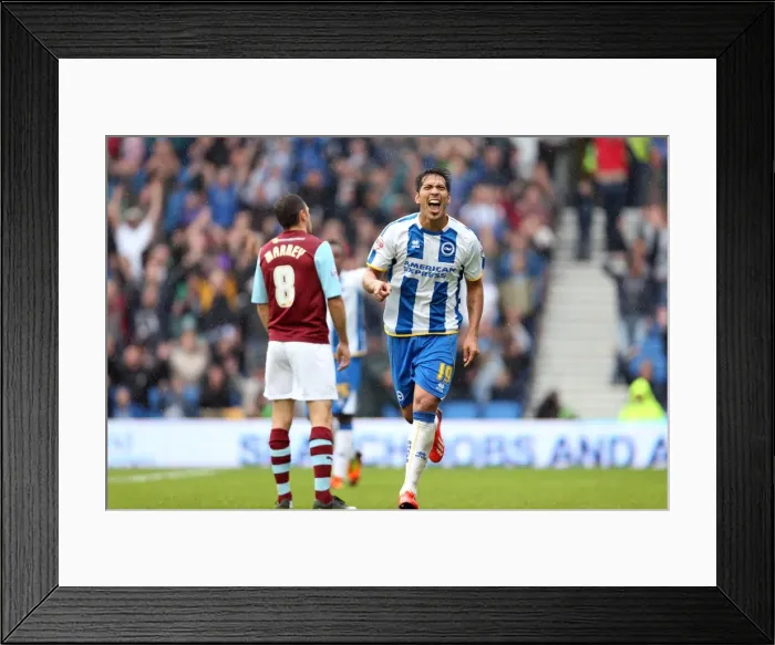 Framed Print : Brighton & Hove Albion vs. Burnley: 2013-14 Season Home Game Highlights (August 24) Framed Print : Brighton & Hove Albion vs. Burnley: 2013-14 Season Home Game Highlights (August 24)