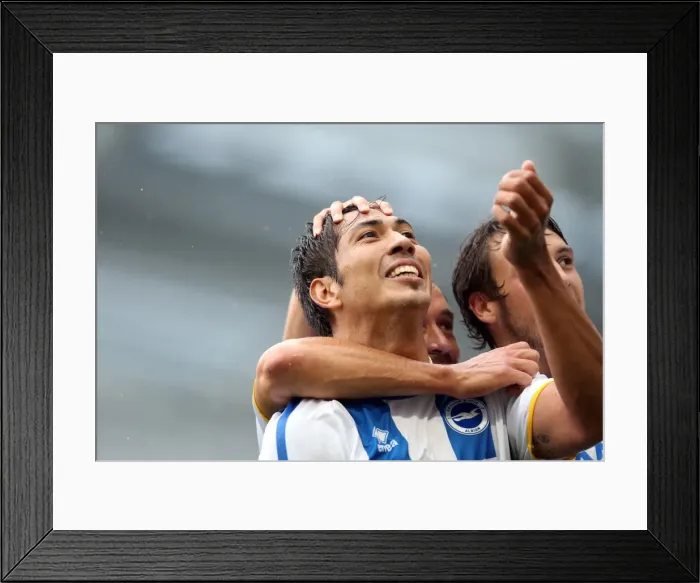 Framed Print : Brighton & Hove Albion vs. Burnley: Home Game - August 24, 2013 Framed Print : Brighton & Hove Albion vs. Burnley: Home Game - August 24, 2013