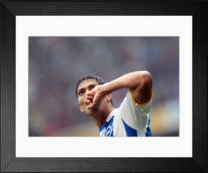 Framed Print : Brighton & Hove Albion vs. Burnley: Home Game - August 24, 2013 Framed Print : Brighton & Hove Albion vs. Burnley: Home Game - August 24, 2013