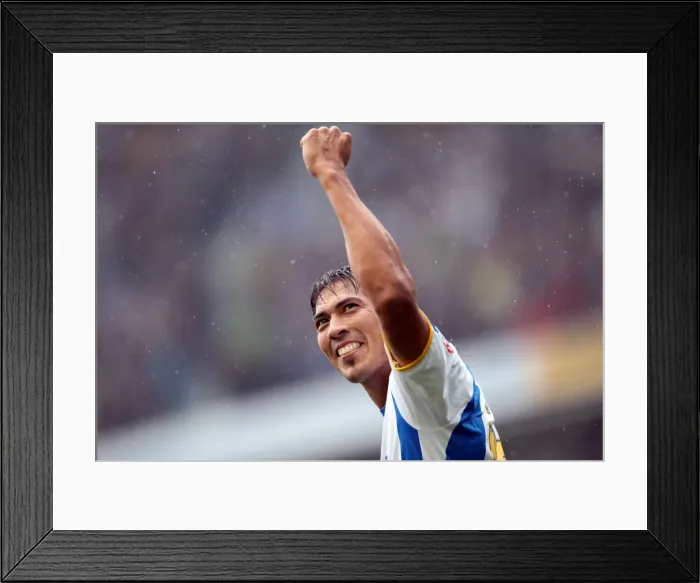 Framed Print : Brighton & Hove Albion vs. Burnley: 2013-14 Season Home Game Highlights (August 24) Framed Print : Brighton & Hove Albion vs. Burnley: 2013-14 Season Home Game Highlights (August 24)