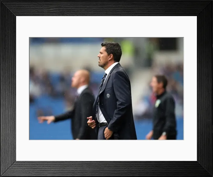 Framed Print : Brighton & Hove Albion vs. Burnley: Home Game - August 24, 2013 Framed Print : Brighton & Hove Albion vs. Burnley: Home Game - August 24, 2013