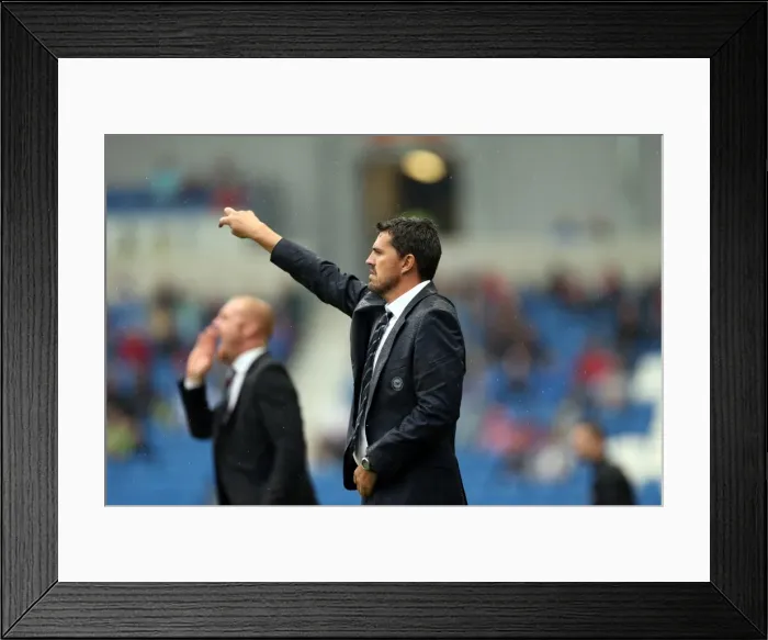 Framed Print : Brighton & Hove Albion vs. Burnley: Home Game - August 24, 2013 Framed Print : Brighton & Hove Albion vs. Burnley: Home Game - August 24, 2013