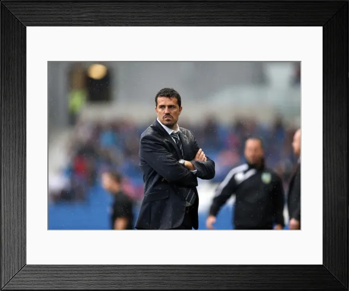 Framed Print : Brighton & Hove Albion vs. Burnley: Home Game - August 24, 2013 Framed Print : Brighton & Hove Albion vs. Burnley: Home Game - August 24, 2013