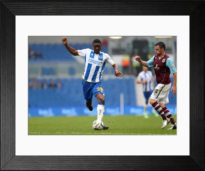 Framed Print : Brighton And Hove Albion Season 2013-14: 2013-14 Home Games: Burnley - 24-08-2013 Framed Print : Brighton And Hove Albion Season 2013-14: 2013-14 Home Games: Burnley - 24-08-2013