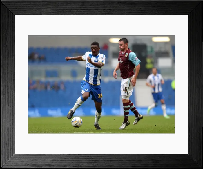 Framed Print : Brighton & Hove Albion vs. Burnley: Home Game - August 24, 2013 Framed Print : Brighton & Hove Albion vs. Burnley: Home Game - August 24, 2013