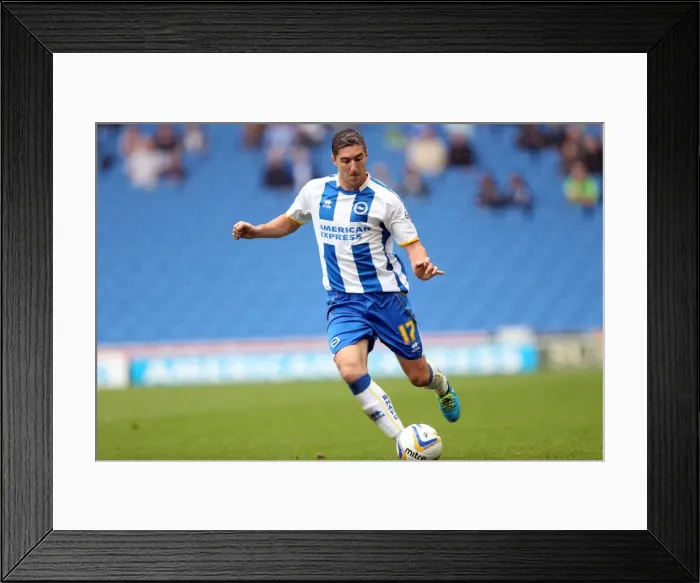 Framed Print : Brighton & Hove Albion vs. Burnley: Home Game - August 24, 2013 Framed Print : Brighton & Hove Albion vs. Burnley: Home Game - August 24, 2013