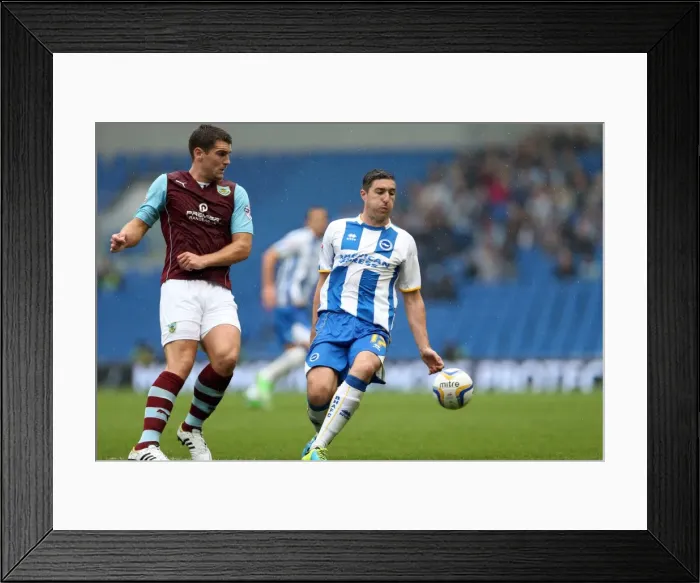 Framed Print : Brighton & Hove Albion vs. Burnley: Home Game - August 24, 2013 Framed Print : Brighton & Hove Albion vs. Burnley: Home Game - August 24, 2013