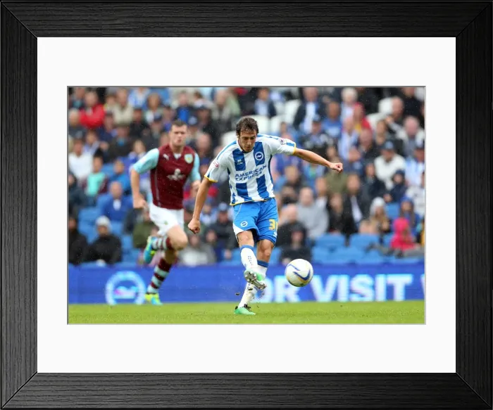 Framed Print : Brighton & Hove Albion vs Burnley: Home Game - August 24, 2013