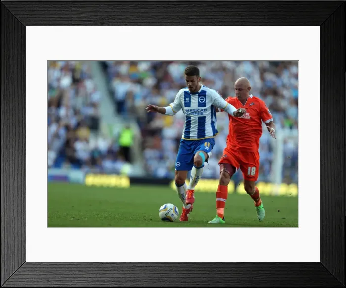 Framed Print : Brighton & Hove Albion vs. Millwall: Home Game - August 31, 2013 Framed Print : Brighton & Hove Albion vs. Millwall: Home Game - August 31, 2013