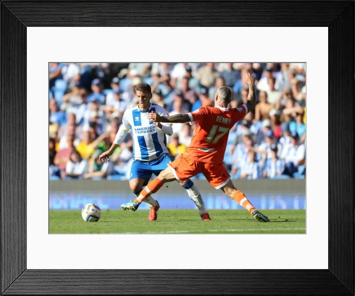 Framed Print : Brighton & Hove Albion vs. Millwall: Home Game - August 31, 2013 Framed Print : Brighton & Hove Albion vs. Millwall: Home Game - August 31, 2013