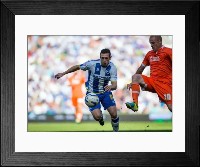 Framed Print : Brighton & Hove Albion vs. Millwall: Home Game - August 31, 2013 Framed Print : Brighton & Hove Albion vs. Millwall: Home Game - August 31, 2013
