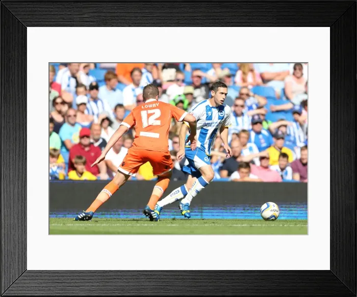 Framed Print : Brighton & Hove Albion vs. Millwall: Home Game - August 31, 2013 Framed Print : Brighton & Hove Albion vs. Millwall: Home Game - August 31, 2013
