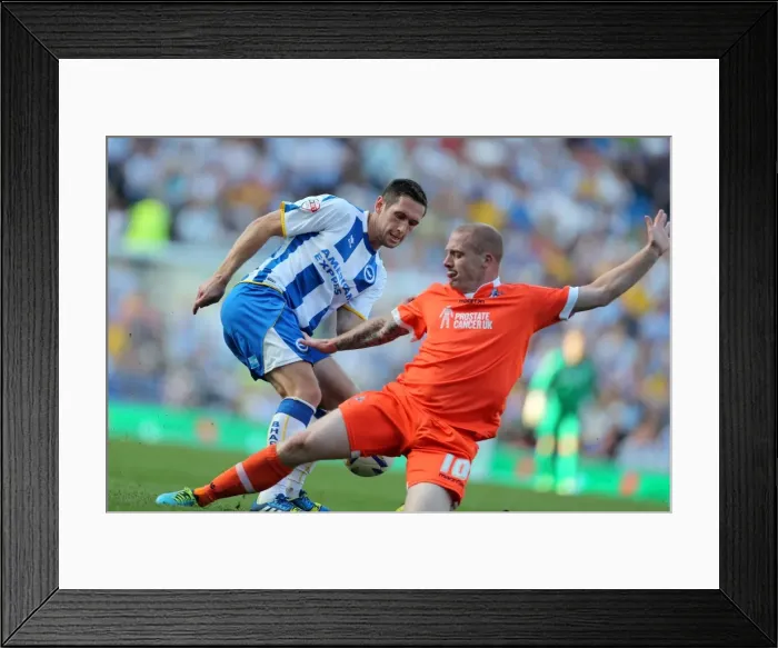 Framed Print : Brighton & Hove Albion vs. Millwall: Home Game - August 31, 2013 Framed Print : Brighton & Hove Albion vs. Millwall: Home Game - August 31, 2013