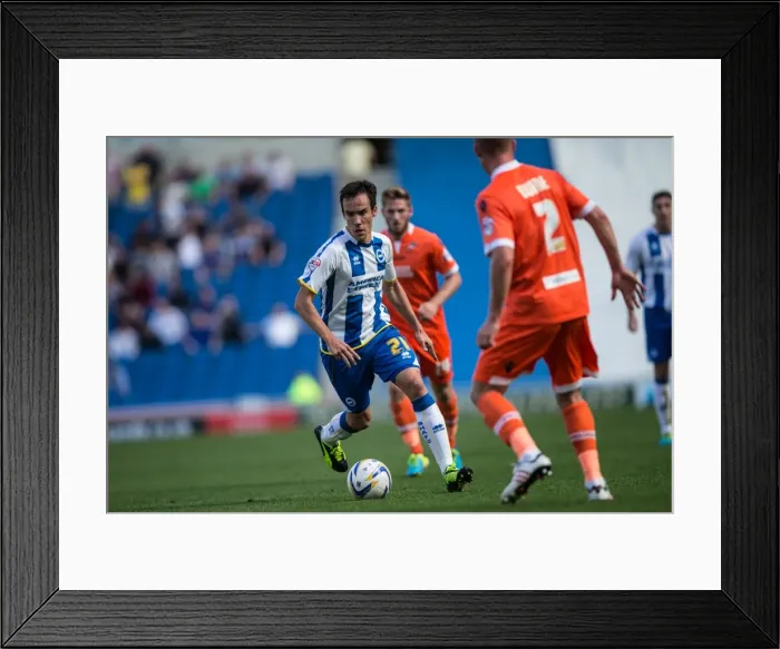 Framed Print : Brighton & Hove Albion vs. Millwall: Home Game - August 31, 2013 Framed Print : Brighton & Hove Albion vs. Millwall: Home Game - August 31, 2013