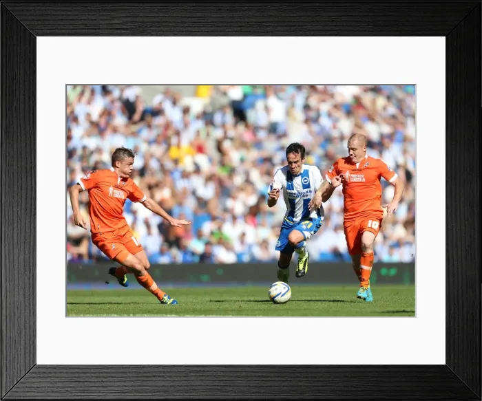 Framed Print : Brighton & Hove Albion vs. Millwall: Home Game - August 31, 2013 Framed Print : Brighton & Hove Albion vs. Millwall: Home Game - August 31, 2013