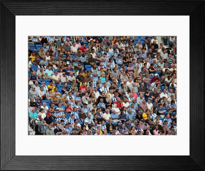 Framed Print : Brighton & Hove Albion vs Millwall: Home Game (August 31, 2013) Framed Print : Brighton & Hove Albion vs Millwall: Home Game (August 31, 2013)