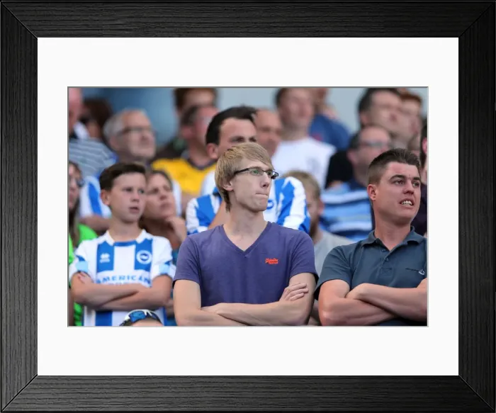 Framed Print : Brighton & Hove Albion vs. Millwall: Home Game - August 31, 2013 Framed Print : Brighton & Hove Albion vs. Millwall: Home Game - August 31, 2013