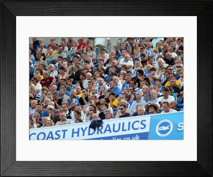 Framed Print : Brighton & Hove Albion vs. Millwall: Home Game - August 31, 2013 Framed Print : Brighton & Hove Albion vs. Millwall: Home Game - August 31, 2013