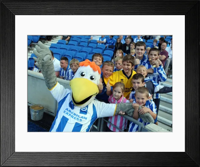 Framed Print : Brighton & Hove Albion vs. Millwall: Home Game - August 31, 2013 Framed Print : Brighton & Hove Albion vs. Millwall: Home Game - August 31, 2013