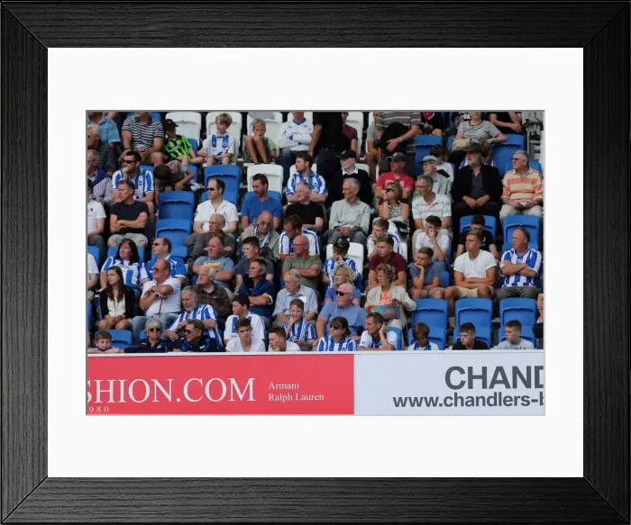 Framed Print : Brighton & Hove Albion vs. Millwall: Home Game - August 31, 2013 Framed Print : Brighton & Hove Albion vs. Millwall: Home Game - August 31, 2013