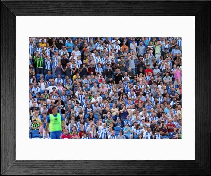 Framed Print : Brighton & Hove Albion vs. Millwall: Home Game - August 31, 2013 Framed Print : Brighton & Hove Albion vs. Millwall: Home Game - August 31, 2013