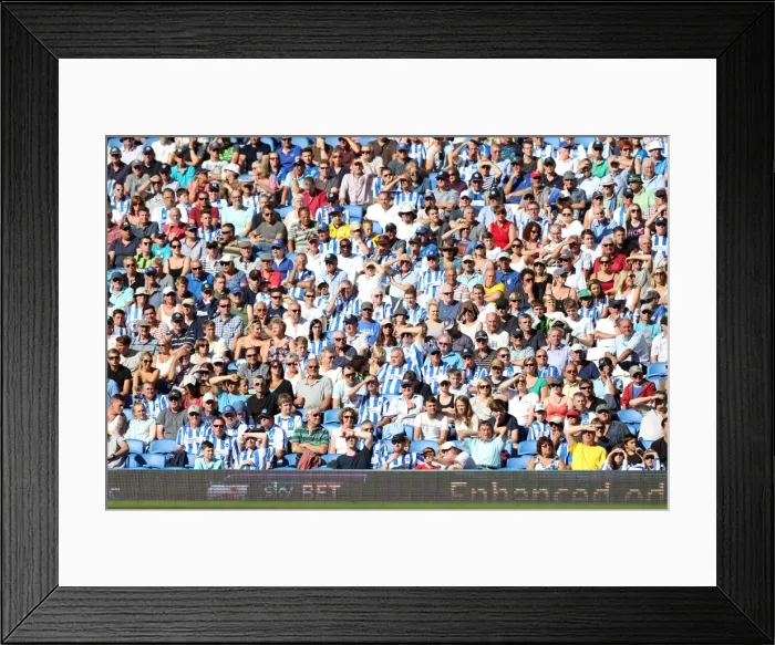 Framed Print : Brighton & Hove Albion vs. Millwall: Home Game - August 31, 2013 Framed Print : Brighton & Hove Albion vs. Millwall: Home Game - August 31, 2013