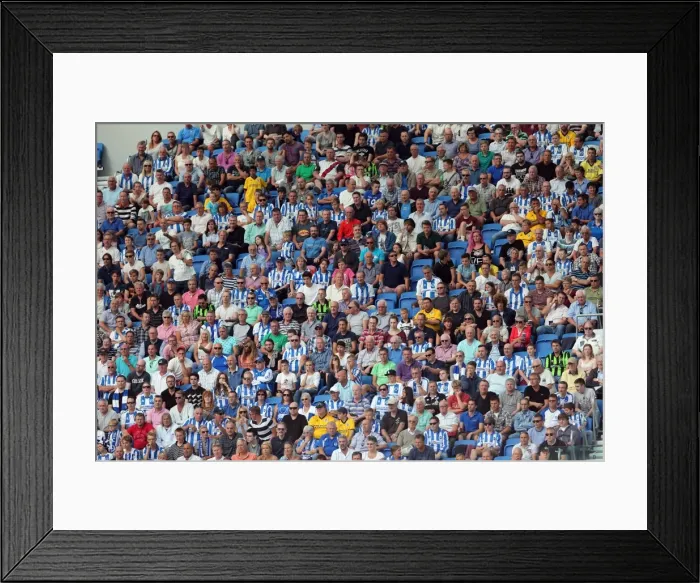 Framed Print : Brighton & Hove Albion vs Millwall: Home Game - August 31, 2013 Framed Print : Brighton & Hove Albion vs Millwall: Home Game - August 31, 2013