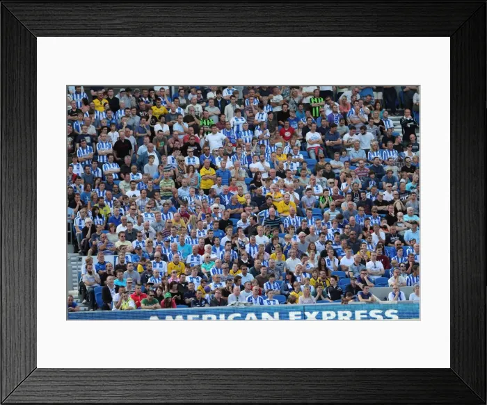 Framed Print : Brighton & Hove Albion vs Millwall: Home Game - August 31, 2013 Framed Print : Brighton & Hove Albion vs Millwall: Home Game - August 31, 2013
